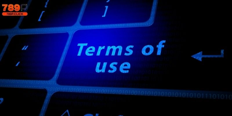 Điều khoản sử dụng